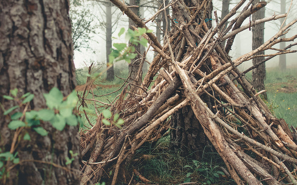 The Role of Knives in Outdoor Survival and Camping